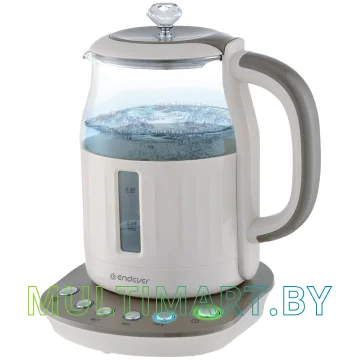 Электрочайник Endever Skyline KR-365G